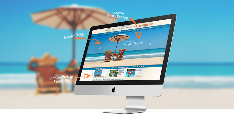 dynamic web site design thailand
